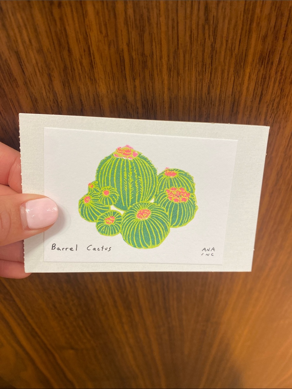 Anastasia INCIARDI - mini print - barrel cactus - from Los Angeles Ca